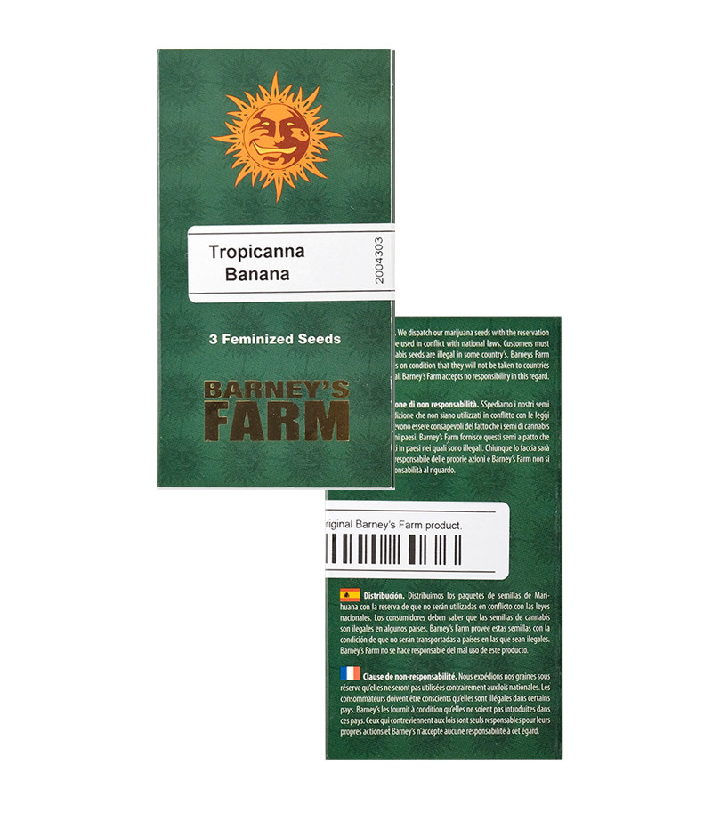 Семена сорта Tropicanna Banana fem (Barney's Farm) — изображение 2