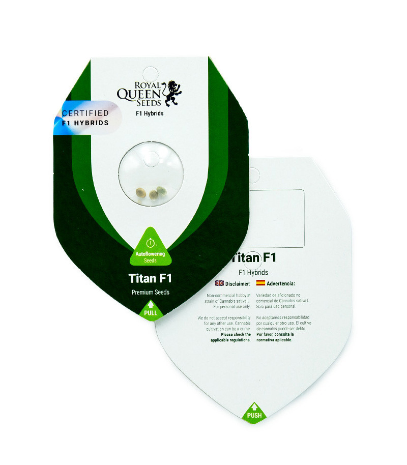 Titan F1 Auto fem (RQS) семена конопли — изображение 2