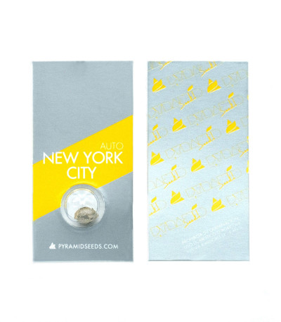 Auto New York City fem (Pyramid Seeds) семена конопли — изображение 2