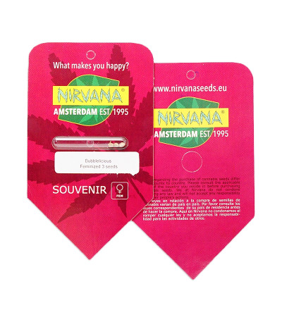 Bubblelicious fem (Nirvana Seeds) семена конопли — изображение 2