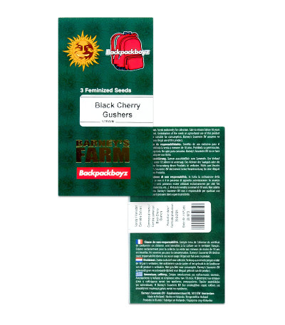 Black Cherry Gushers fem (Barney's Farm) семена конопли — изображение 2